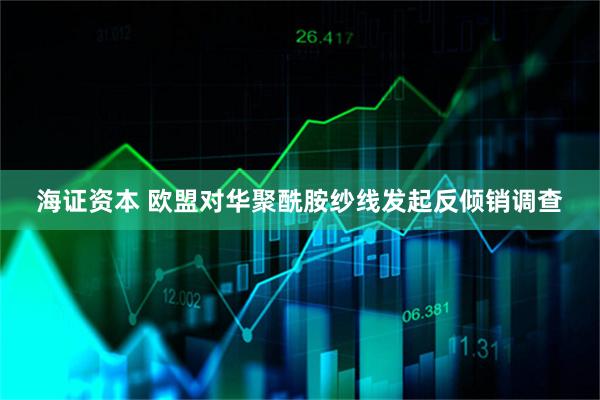 海证资本 欧盟对华聚酰胺纱线发起反倾销调查